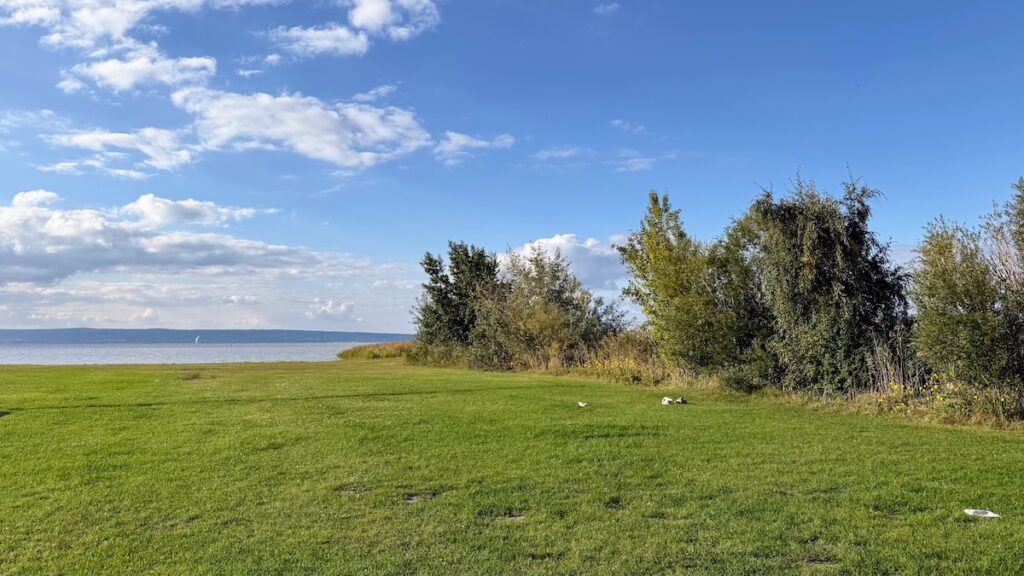 Baumzeile-Windabdeckung - Kitesurfen in Podersdorf am Neusiedlersee - Kiten - Mentalcoach Supervisor Change-Manager - - Die wissenschaftliche Wahrheit über Mentaltraining - Mentaltrainer Mentalcoach Mentalcoaching Supervisor Supervision – Michael Deutschmann, MSc – Mental Austria – Sautens Ötztal Imst Tirol – Coach – Führungskräftetraining – Teamtraining – Businesscoaching – Führungskräftecoaching – Teamcoaching – Gruppendynamik – Persönlichkeitsentwicklung – Teamentwicklung – Organisationsentwicklung – Konfliktcoaching – Konfliktcoach – Supervision – Supervisor – Psychologische Beratung – Psychosoziale Beratung – Unternehmensberatung – Organisationsberatung – Organisationsentwicklung – Change Management – mentale Resilinz - Change-Management mit mentalem Fokus - Veränderungsmanagement
