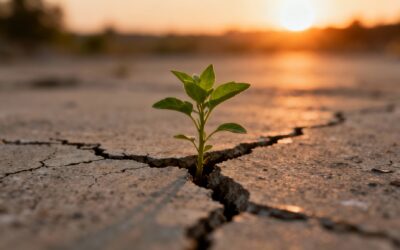 Unter Strom? Wie Sie Ihre innere Stärke (Resilienz) trainieren und Krisen meistern – Machen Sie den Test! - Mentaltrainer Mentalcoach Mentalcoaching Supervisor Supervision – Michael Deutschmann, MSc – Mental Austria – Sautens Ötztal Imst Tirol – Coach – Führungskräftetraining – Teamtraining – Businesscoaching – Führungskräftecoaching – Teamcoaching – Gruppendynamik – Persönlichkeitsentwicklung – Teamentwicklung – Organisationsentwicklung – Konfliktcoaching – Konfliktcoach – Supervision – Supervisor – Psychologische Beratung – Psychosoziale Beratung – Unternehmensberatung – Organisationsberatung – Organisationsentwicklung – Change Management – mentale Resilinz - Change-Management mit mentalem Fokus - Veränderungsmanagement