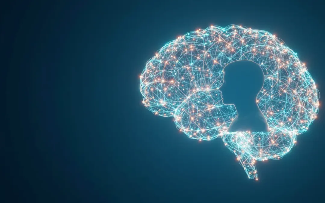 Alle Modelle des menschlichen Gehirns: Ein kompletter Überblick